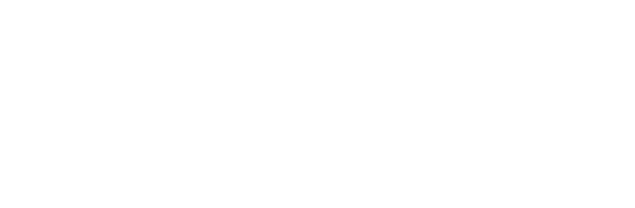 Ravens Distillery Logo